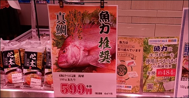 魚力