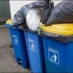 コバエ対策スプレーの効果-完全駆除によりコバエはいなくなるのか?