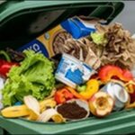 コバエのゴミ箱対策の効果は?コバエはいなくなのかを検証します