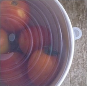 シリコーン製フードカバー