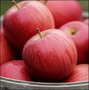 【長野県】浅間クチーナ