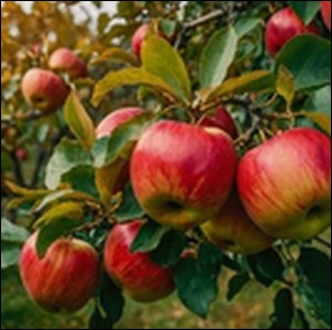 【岩手県】奥州ロマン