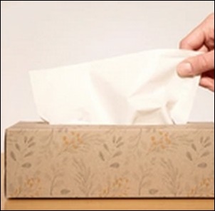 【DAISO】底上げスプリングホルダー