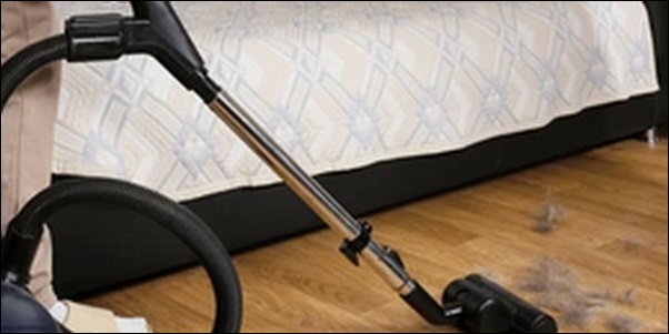 【ざわつく金曜日】掃除機お勧め3選！日常の快適さを左右する