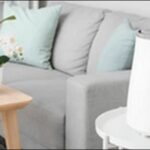 加湿器は水交換が楽なのが最適！キレイに潤う手間いらず【TV紹介】