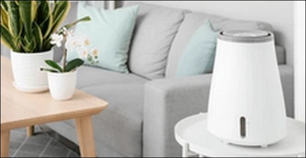 加湿器は水交換が楽なのが最適！キレイに潤う手間いらず【TV紹介】