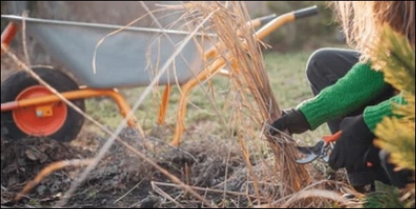 大掃除簡単にできる方法！高圧洗浄機で汚れを一気に処理【TV紹介】