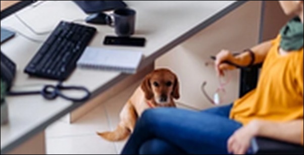 デスク下寒さ対策はコレ！熱源なしで手軽に温もりを実感【TV紹介】