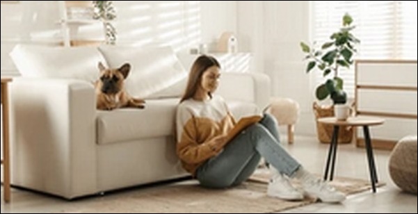 部屋を広く見せるソファベッドお勧め！1台で3役こなす【TV紹介】